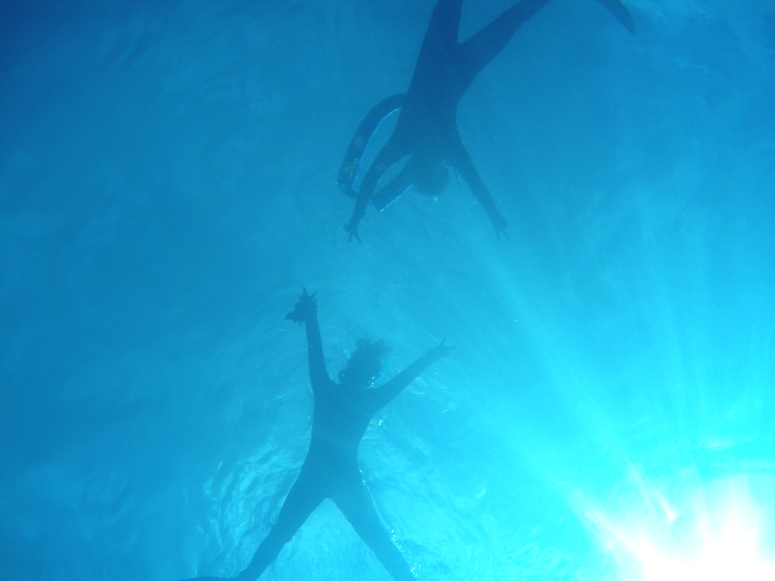 関西マリネット・ダイビングクラブ_1