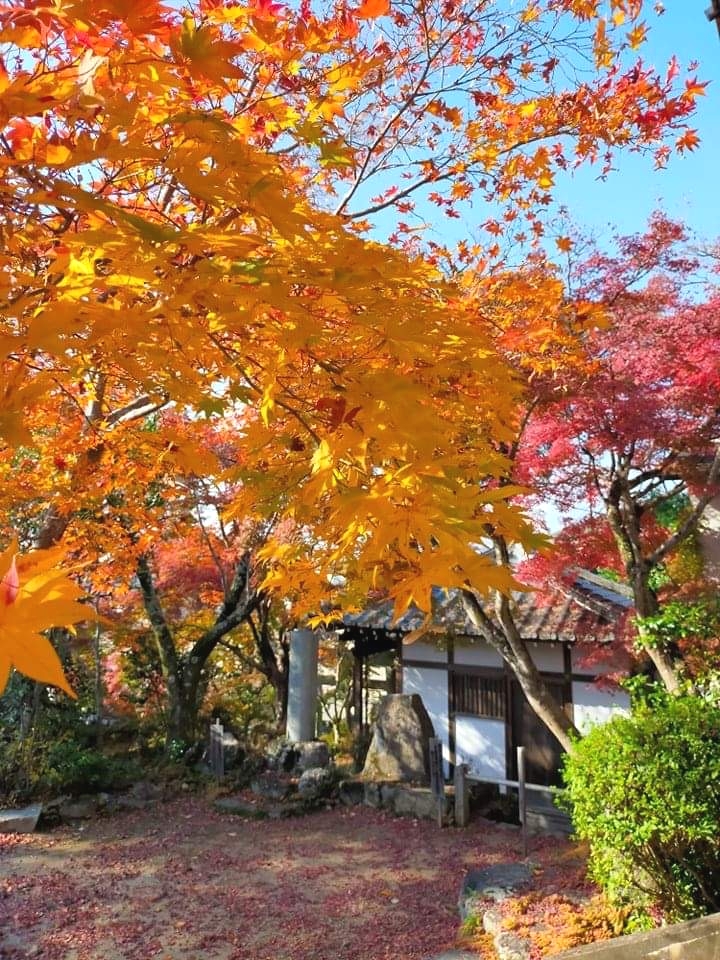 テラヨガ大阪箕面　西江寺