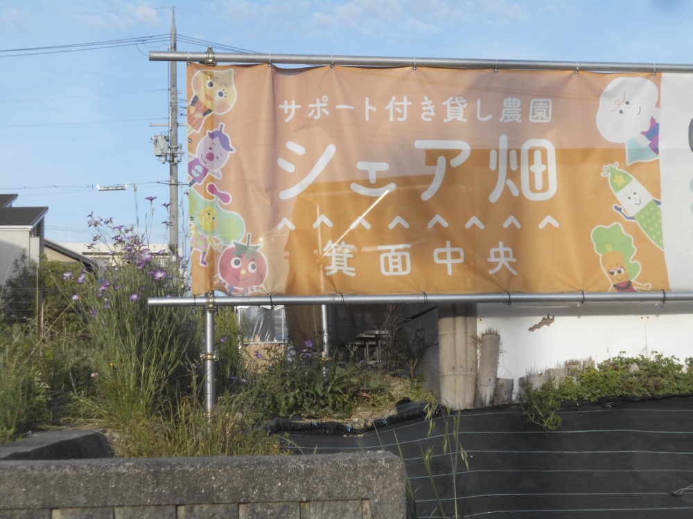 シェア畑 箕面中央_2