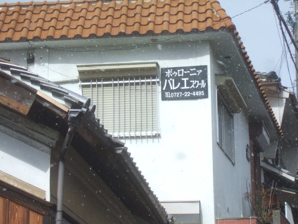 ポゥローニアバレエスクール_2