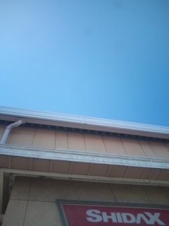 八尾志紀シダックスカルチャークラブ