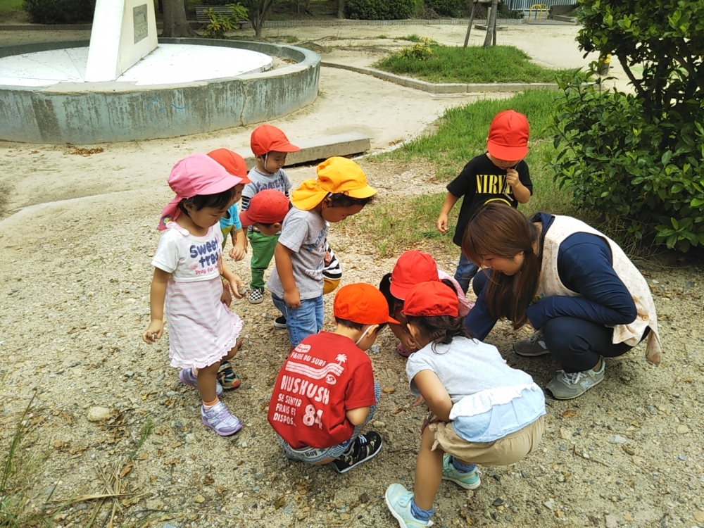 親子活動と預かり保育 コラボ