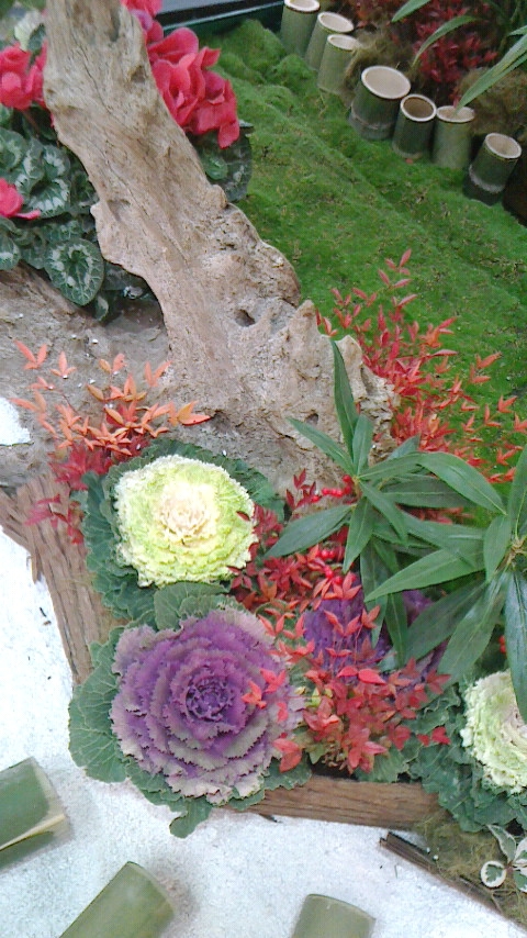 破入いけばな教室