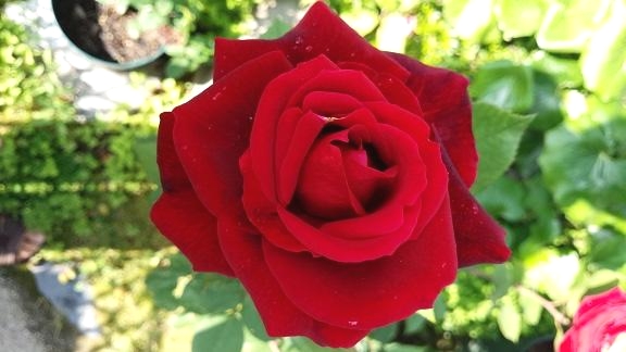 英会話レッスンJ-Kaiwa English_4