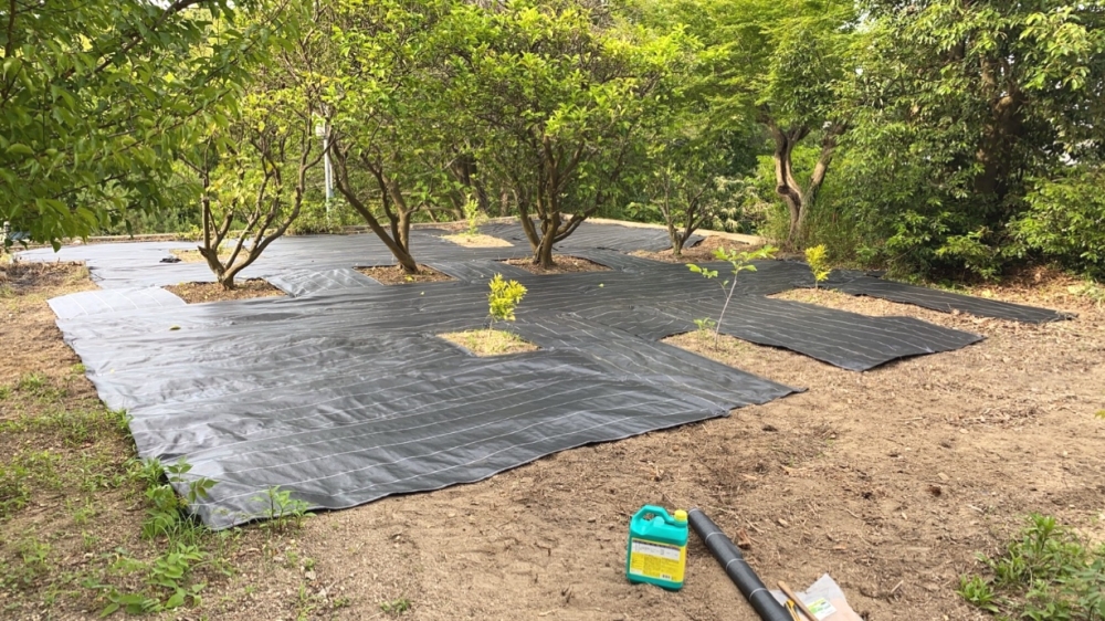 就労支援B型【令和倶楽部】_2