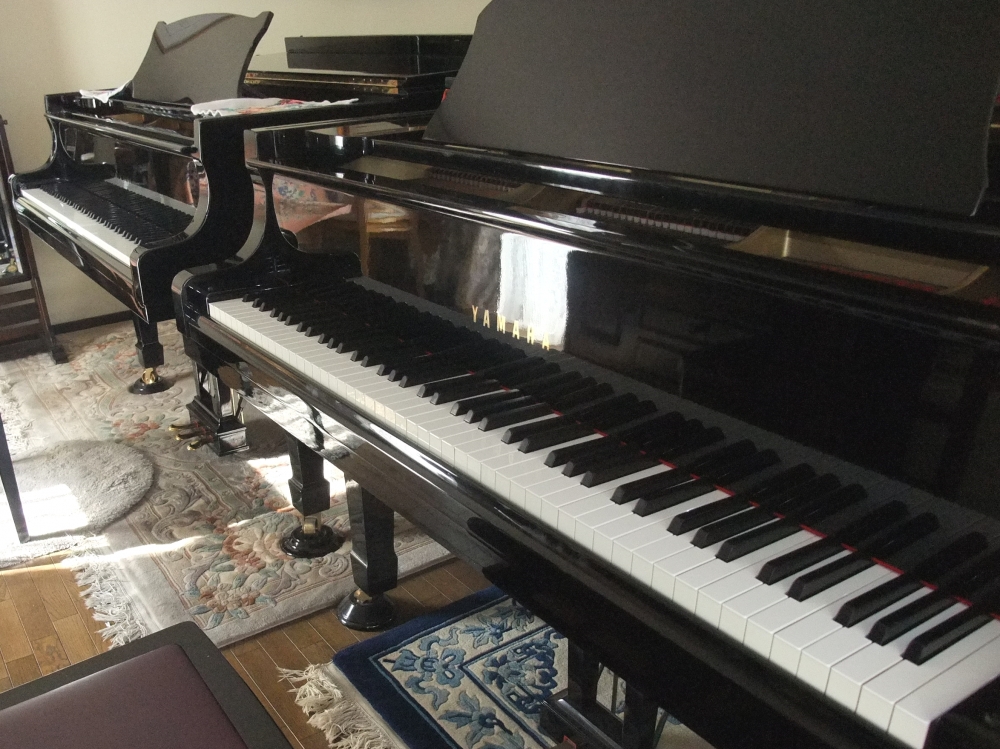 宝塚音楽アカデミー・ピアノ・ソルフェージュ教室_8