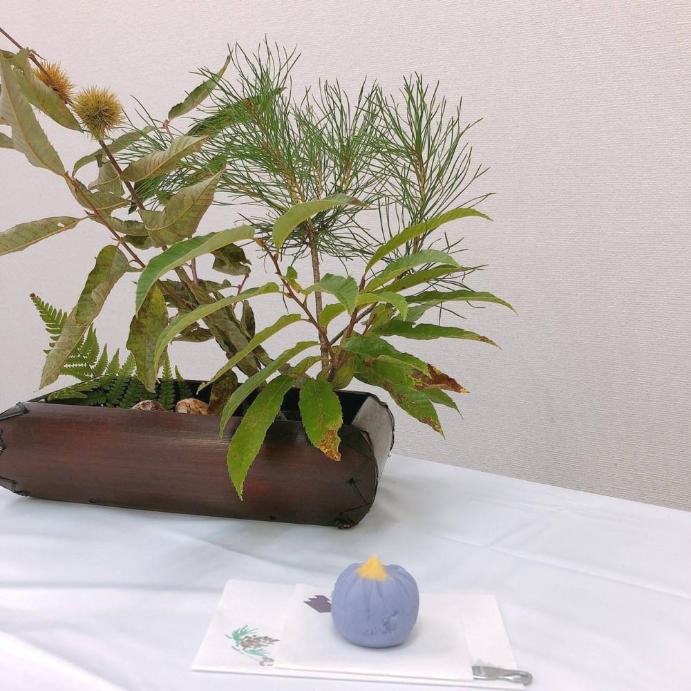 小笠原流煎茶道　西宮北口教室_4