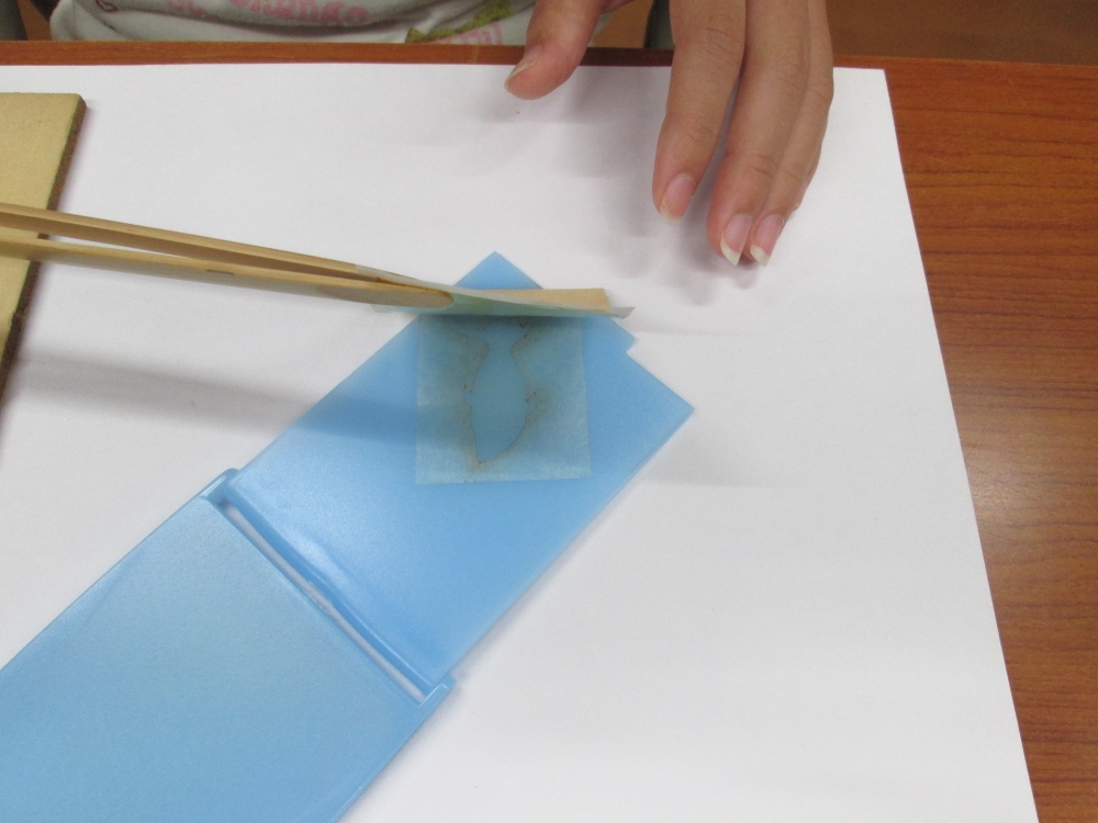 五明金箔工芸_22