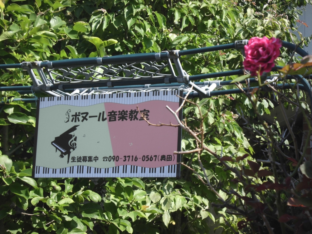 ボヌール音楽教室