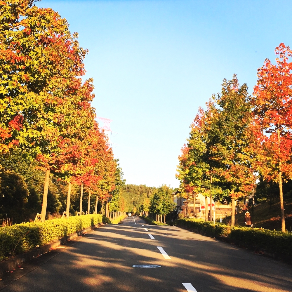 眉肌(びはだ)ナチュラルメイクスクール 宇治田原校_9