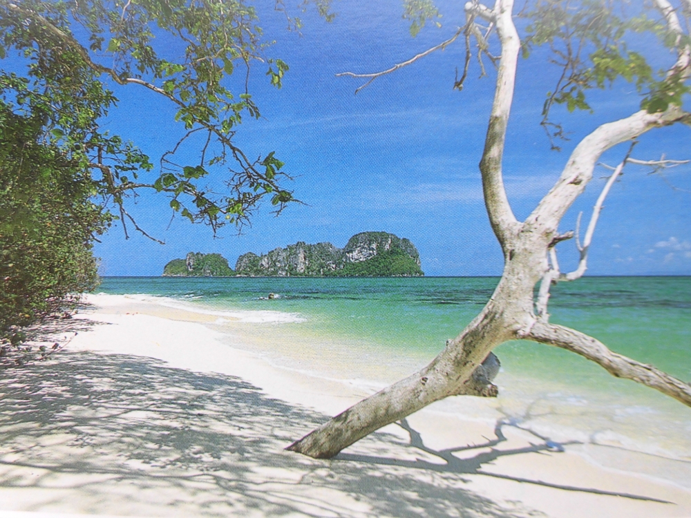 ECCジュニア　南生駒教室・小瀬教室_2