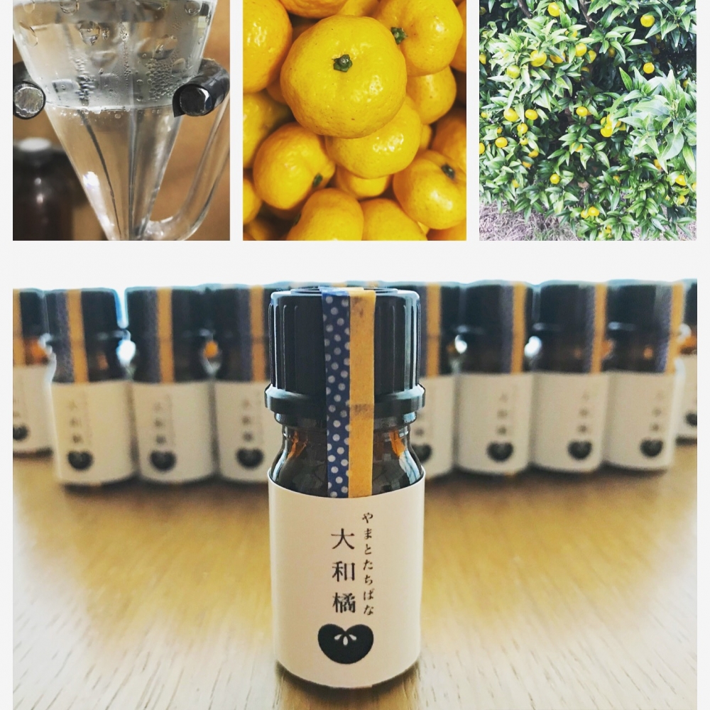 アロマテラピースクール イリス サナシア_7