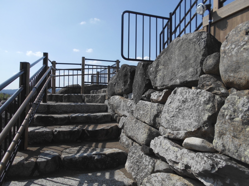 郡山城跡の桜_4