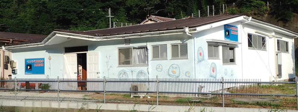 ベニクラゲ再生生物学体験研究所