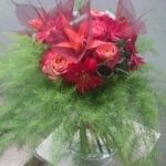 基本レッスン（帯専科・他専門科）