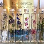 心理学入門コース