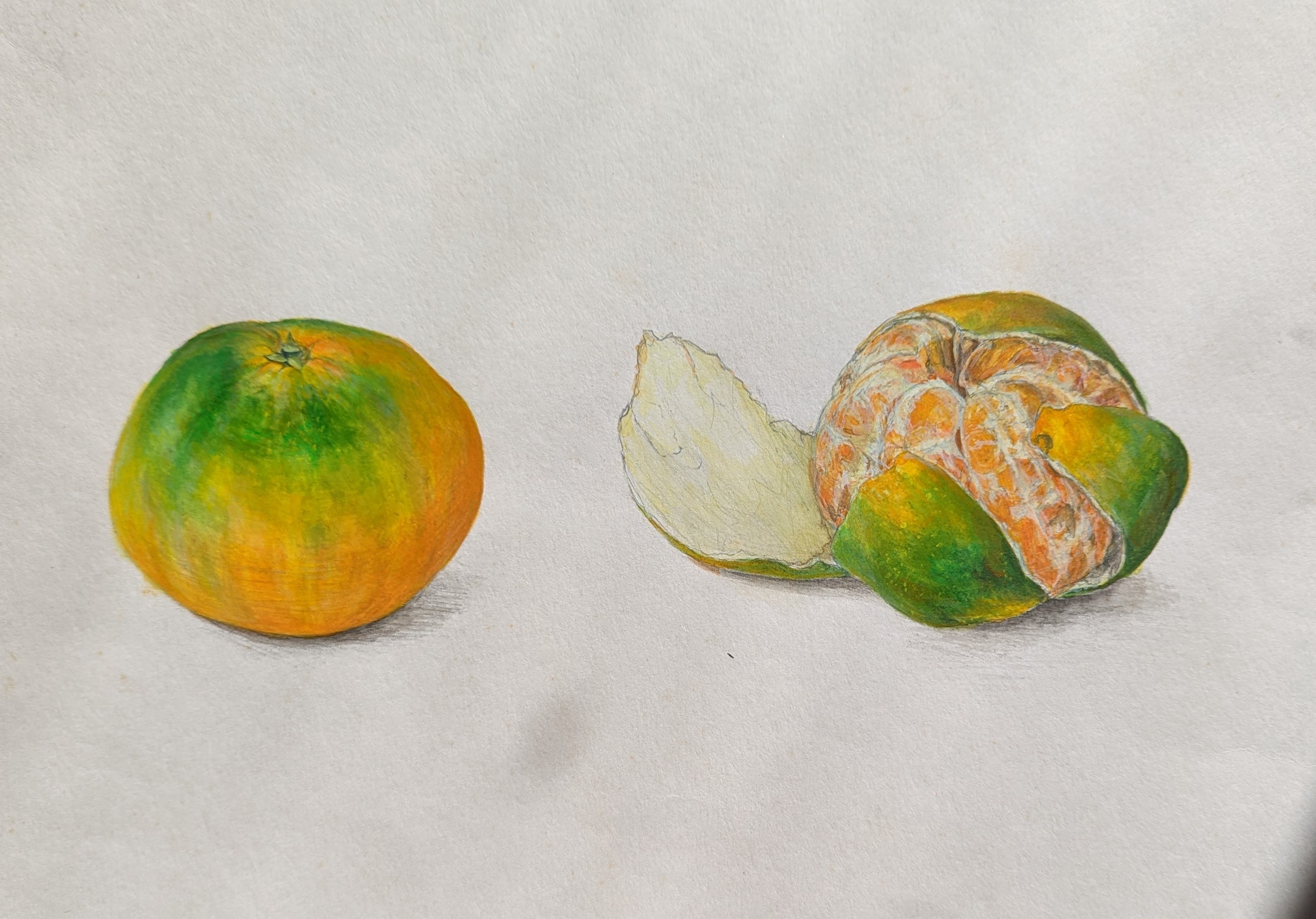 基礎から学ぶ　鉛筆デッサン・色鉛筆画・水彩写生_1