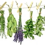 無料テキスト_4