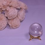 プライベートレッスン　２回/月_2