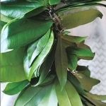 英会話「ENVISION」コース_2