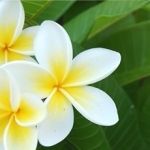 英会話「ENVISION」コース