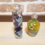 スマイルシードでのレッスンメニュー_1