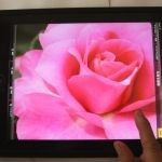 子連れタヒチアンダンス_1