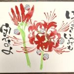 個人のレベルに合わせた授業（シニア８時間コース）