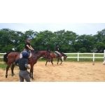 ビジターコース