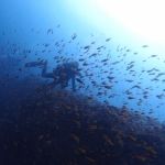 【もっと仕事で役立てたい！】Word（ワード）講座／Excel（エクセル）講座／PowerPoint（パワーポイント）講座　など_2